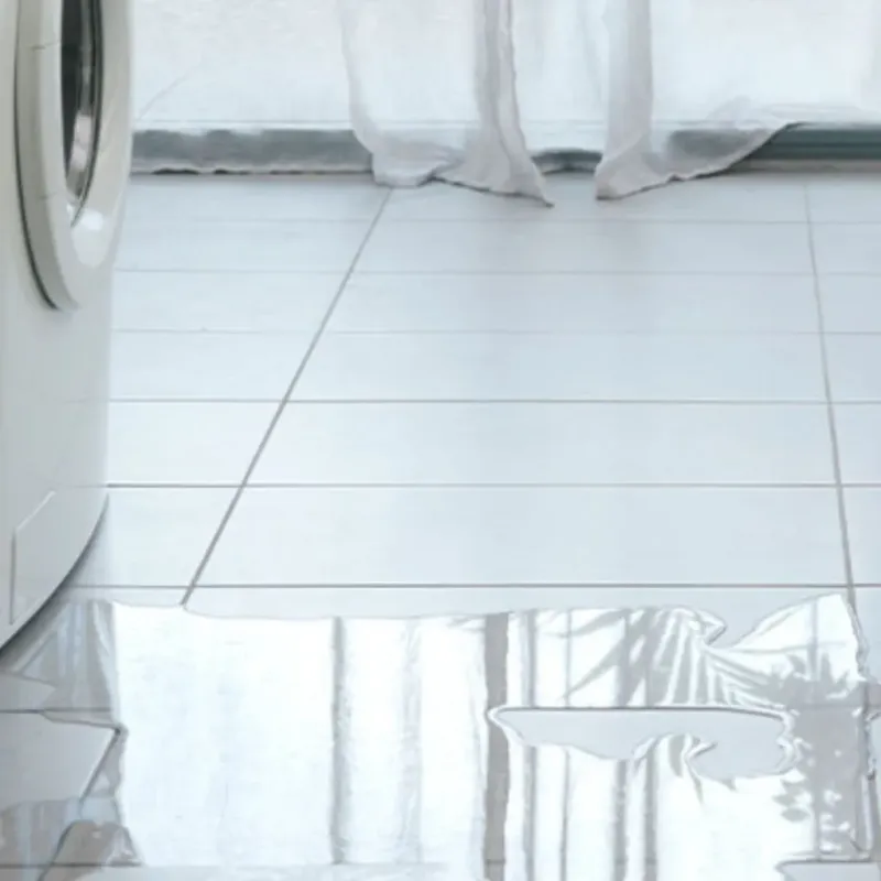 Appliance Leak Cleanup in Baldwin, LA