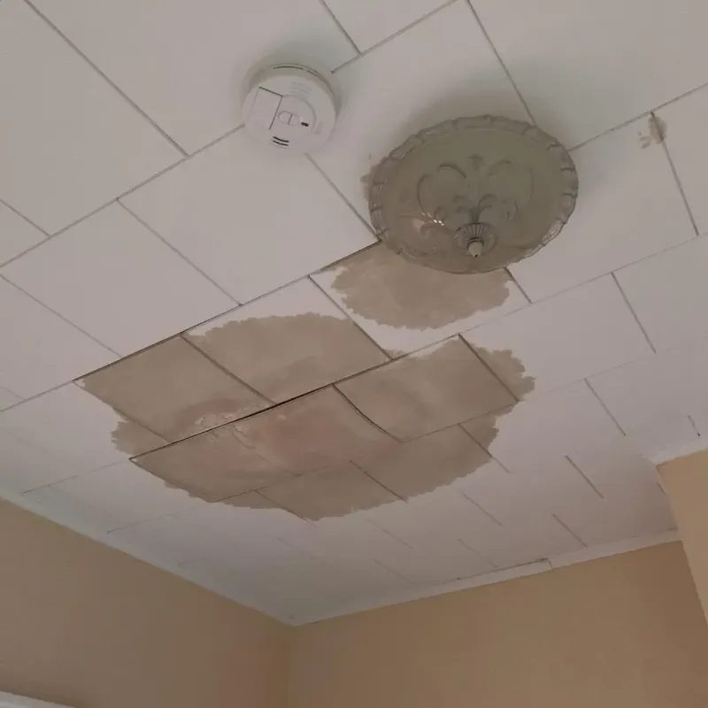 Ceiling Water Damage Repair in Baldwin, LA
